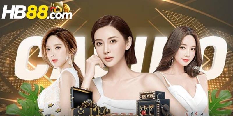 HB88 phù hợp với kiểu người chơi nào nhất?